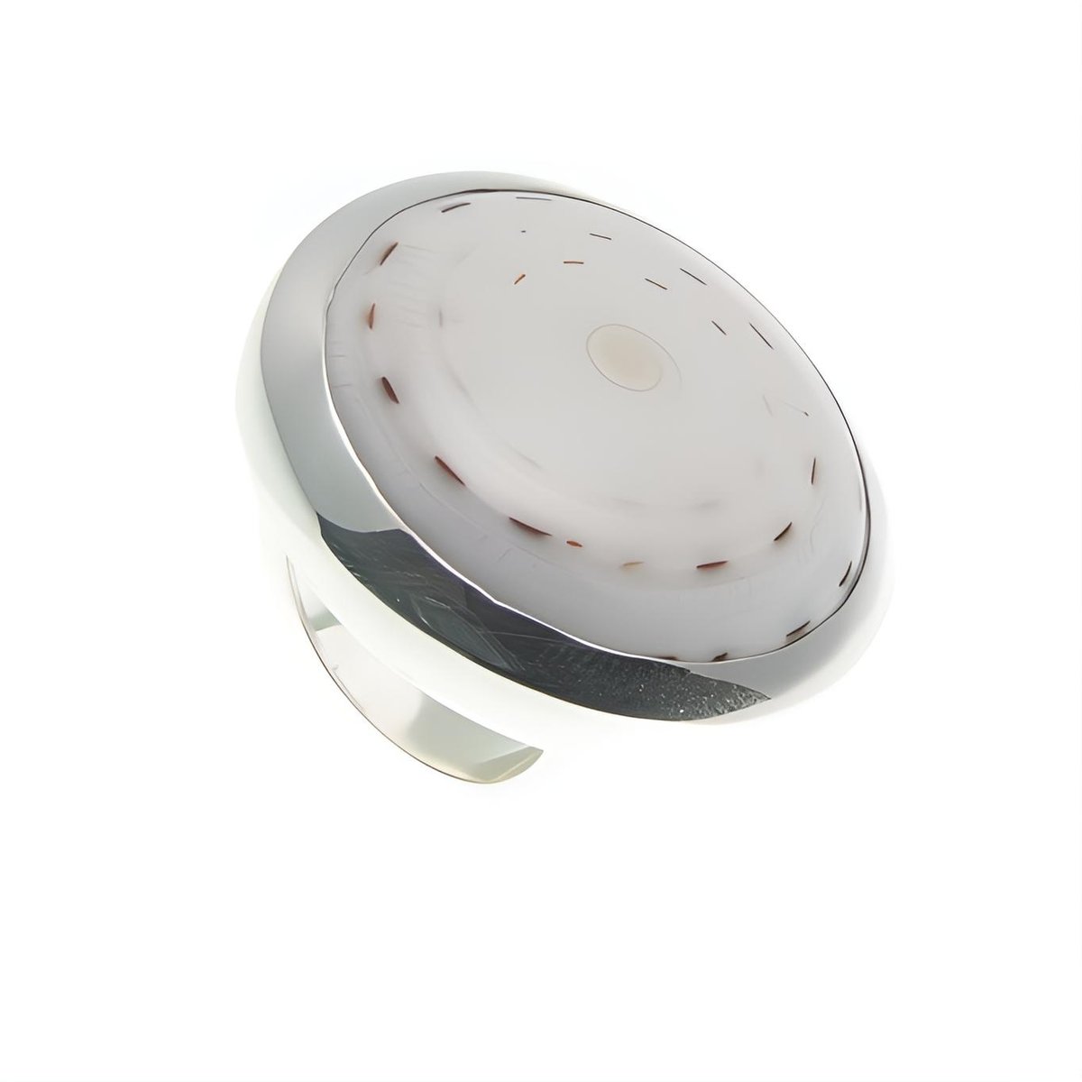 Ring Shell Swirl Big