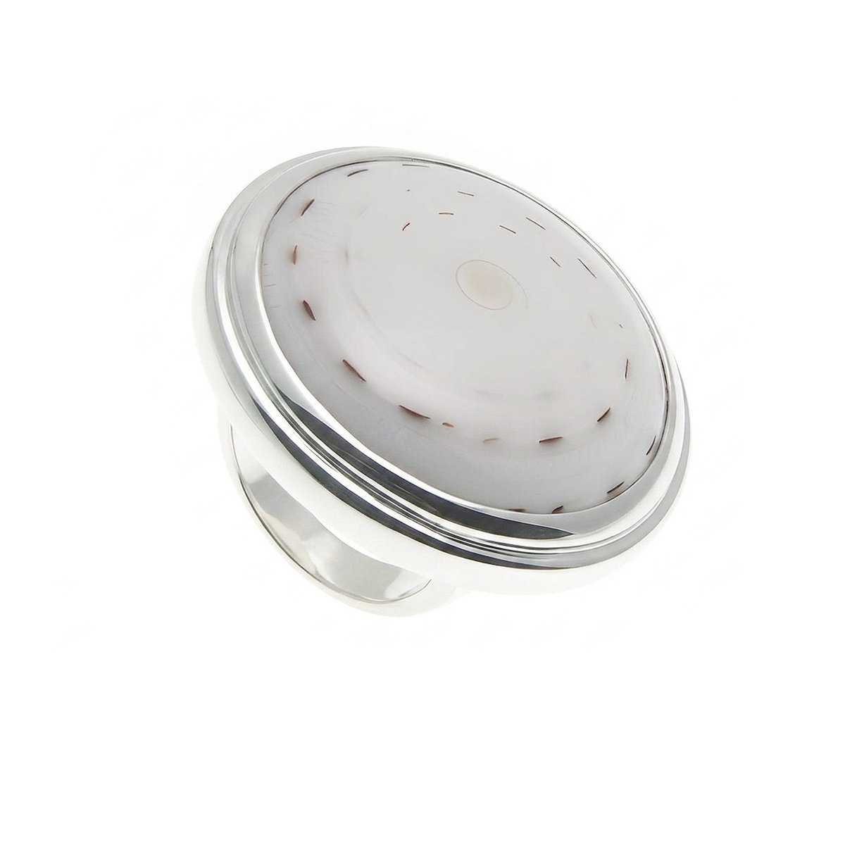 Ring Shell Swirl Big