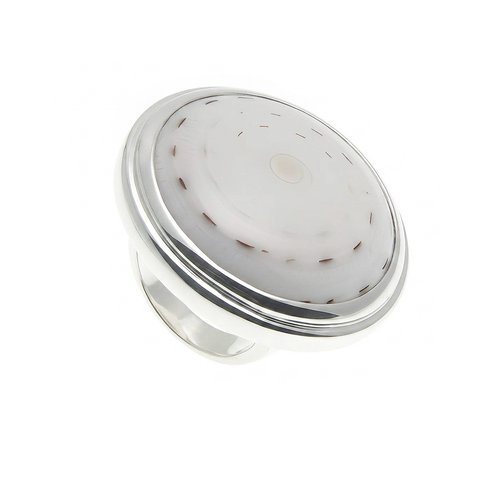 Ring Shell Swirl Big