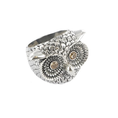 Ring Owl