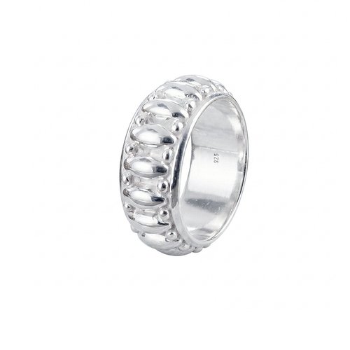 Ring Rider