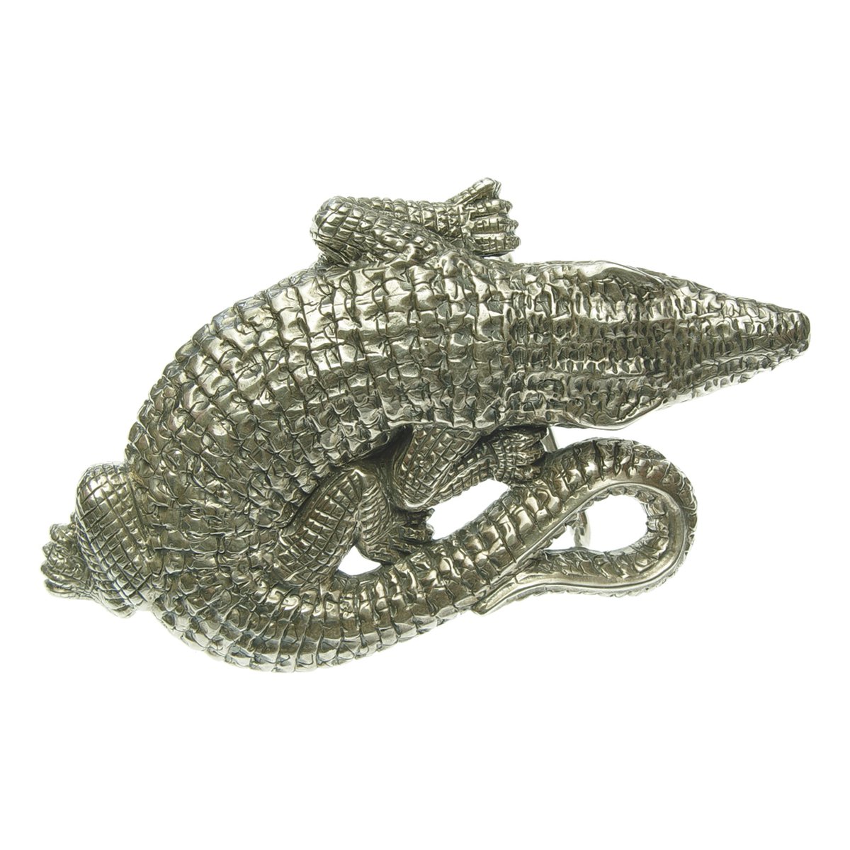 Buckle Crocodile