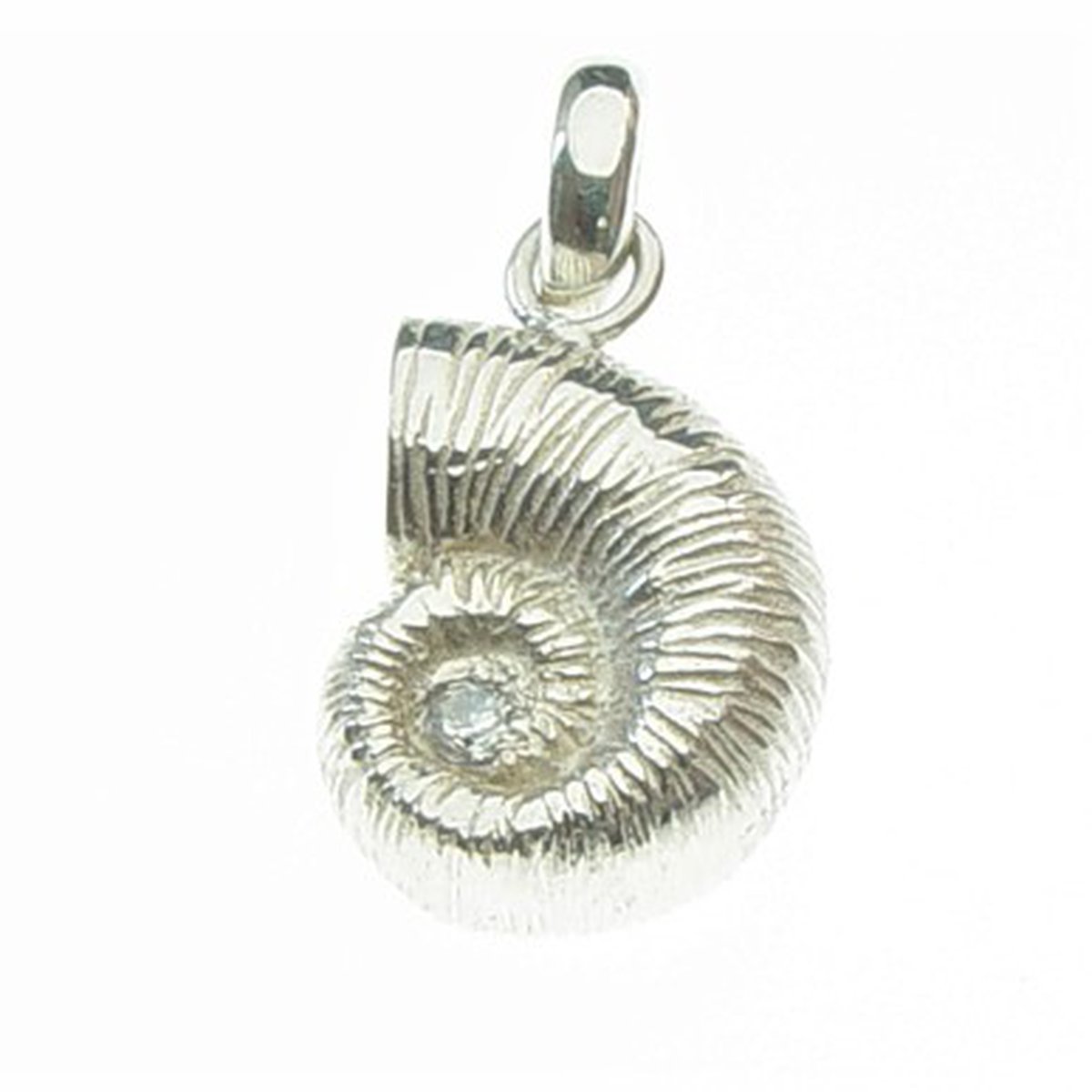 Pendant Mollusca Big