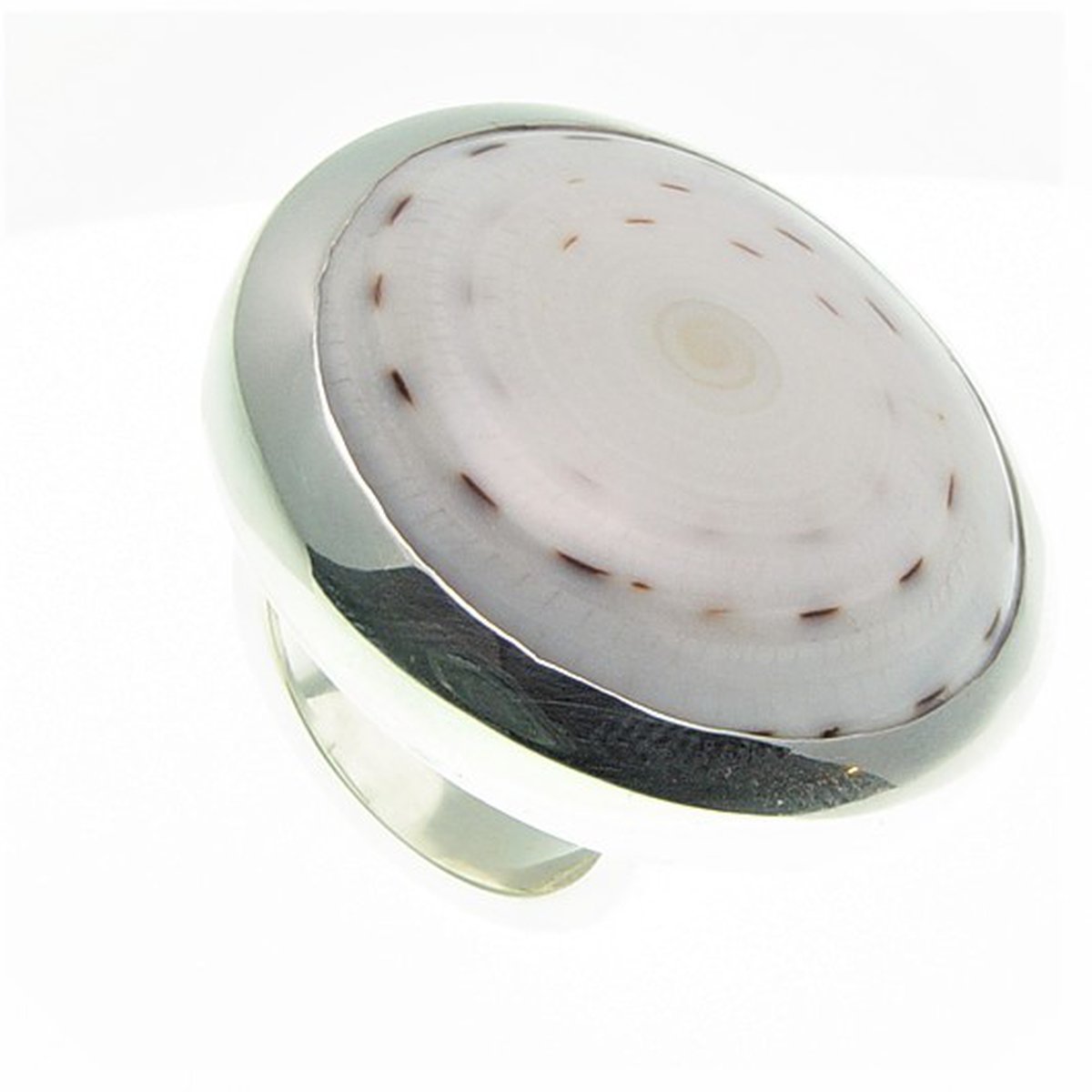 Ring Shell Swirl Big