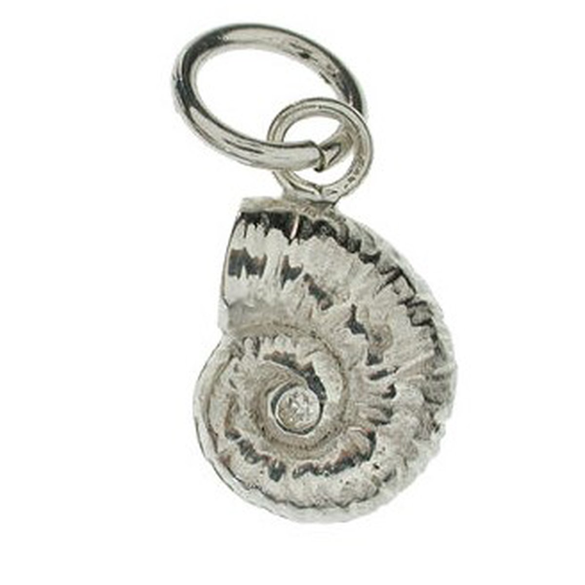 Tuning Mollusca Small