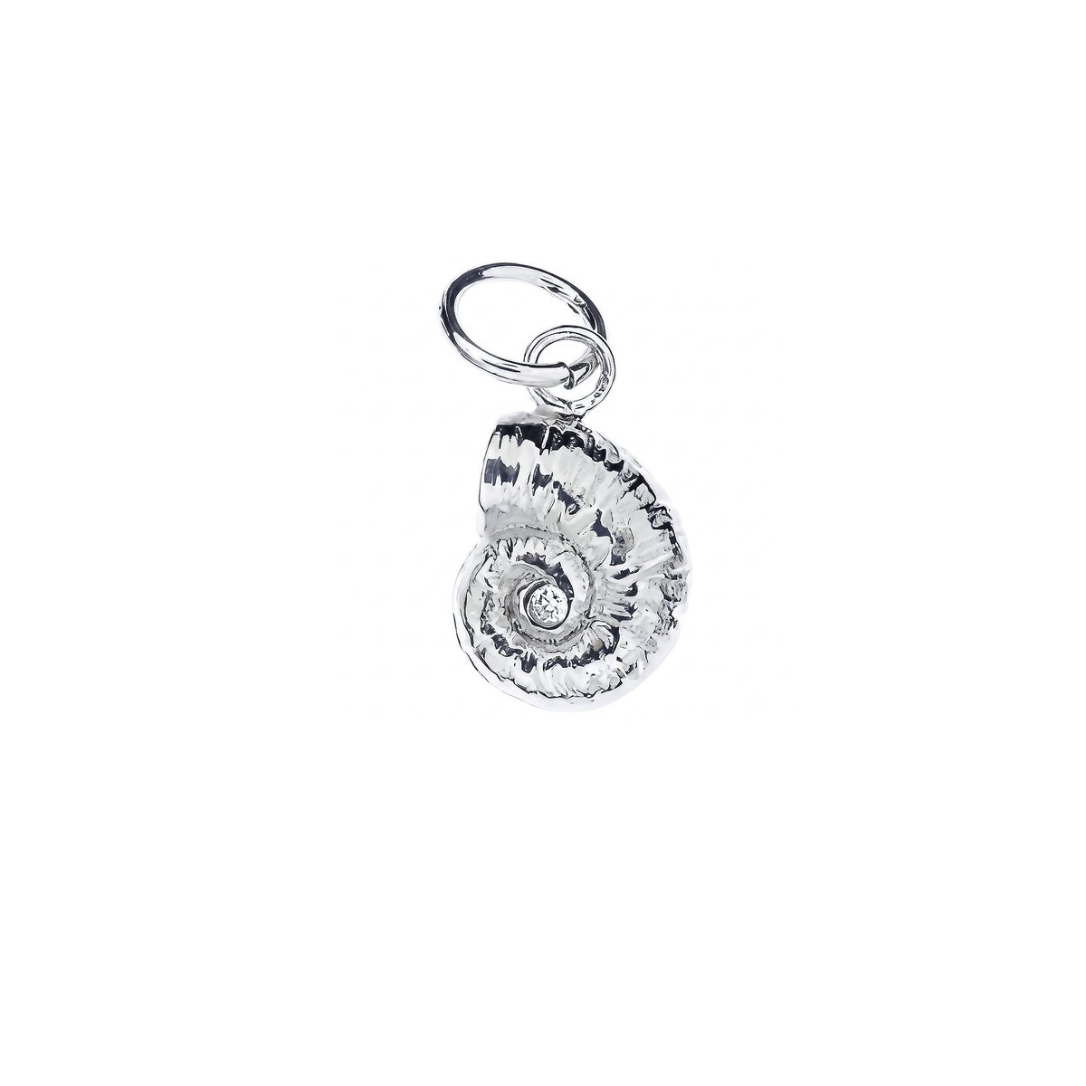 Charm Tuning Mollusca Small