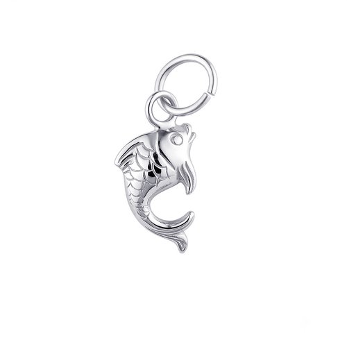 Charm Tuning Silver Fish