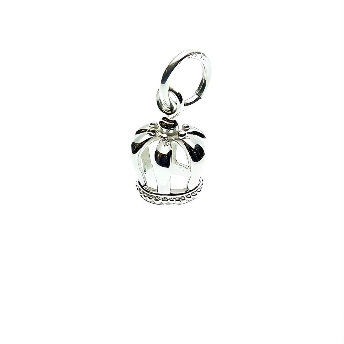 Charm Tuning Princess Crown