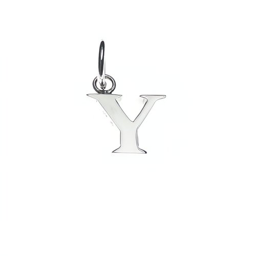 Charm Tuning Letter Y